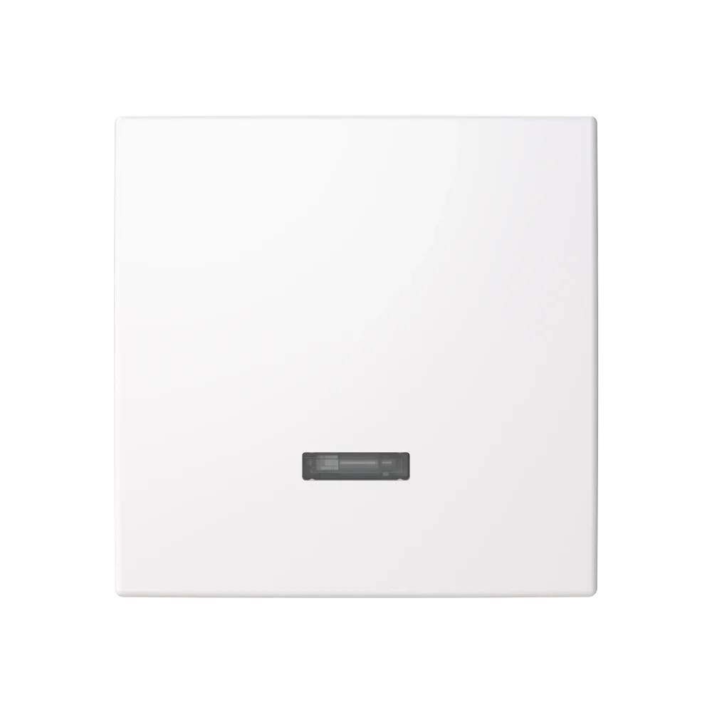 ABB Saga 6543-916-102-510 Centrumplatta vit