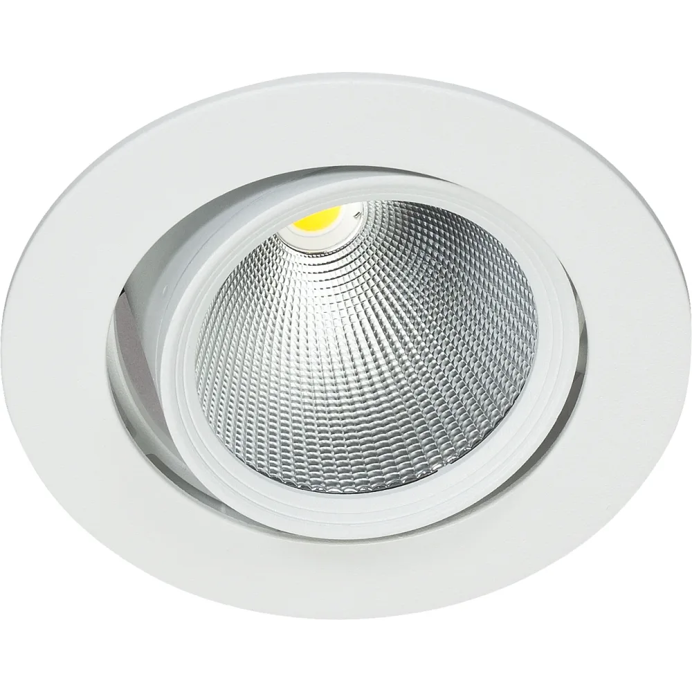 Easyform Pride Downlight ställbar, 360°/ 20° 30W