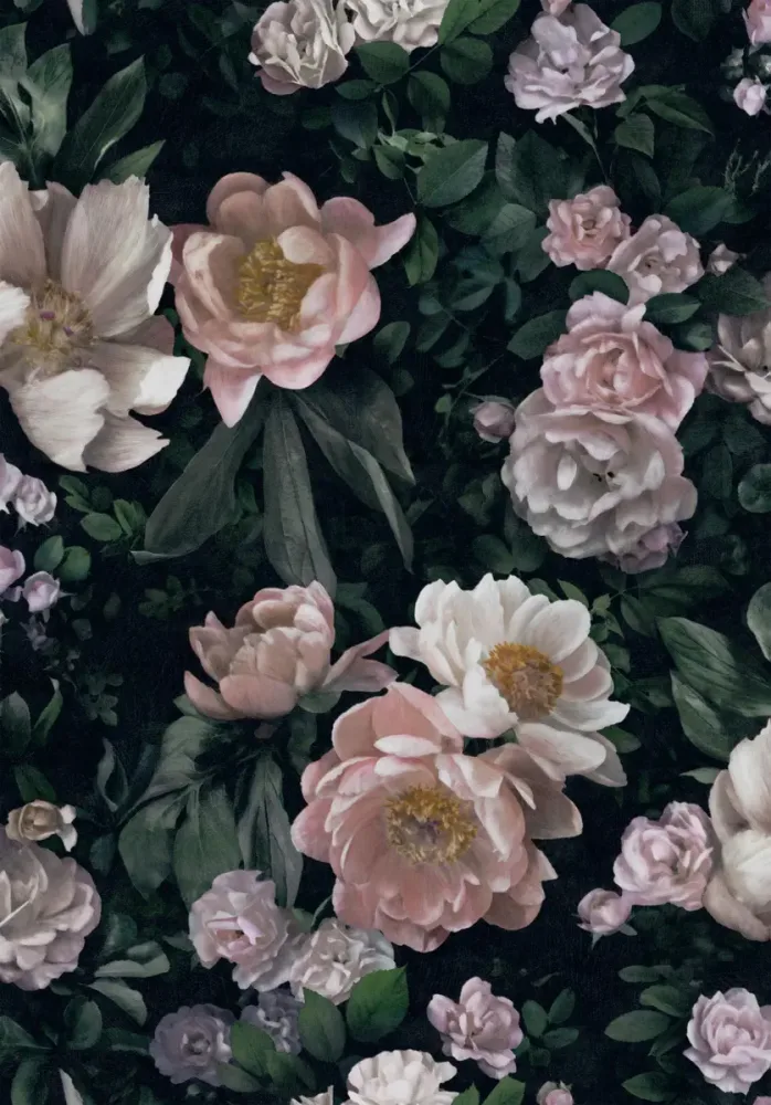 Boråstapeter - New Dawn Rose