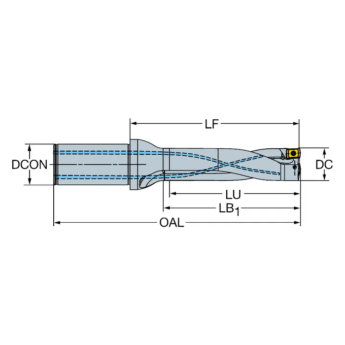 DS20-D4100L40-06