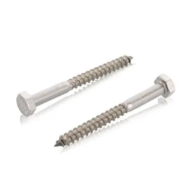 Schäfer & Peters 05714660 Sexkantsträskruv 6 mm, T6S A4, DIN 571 6 x 60 mm, 200-pack