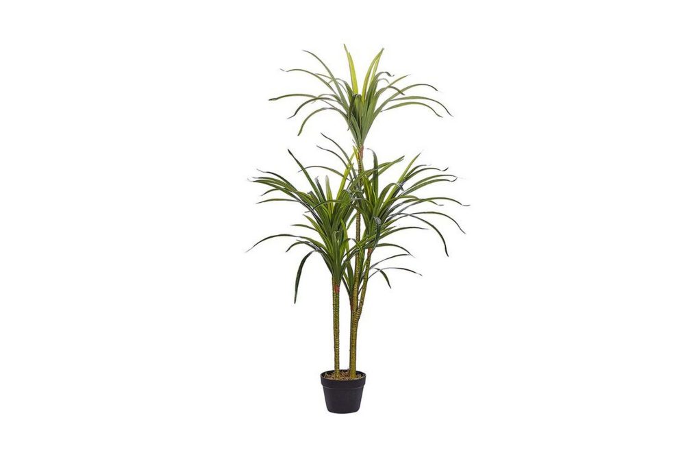 Berden Konstgjord Krukväxt 147 cm Dracaena anita