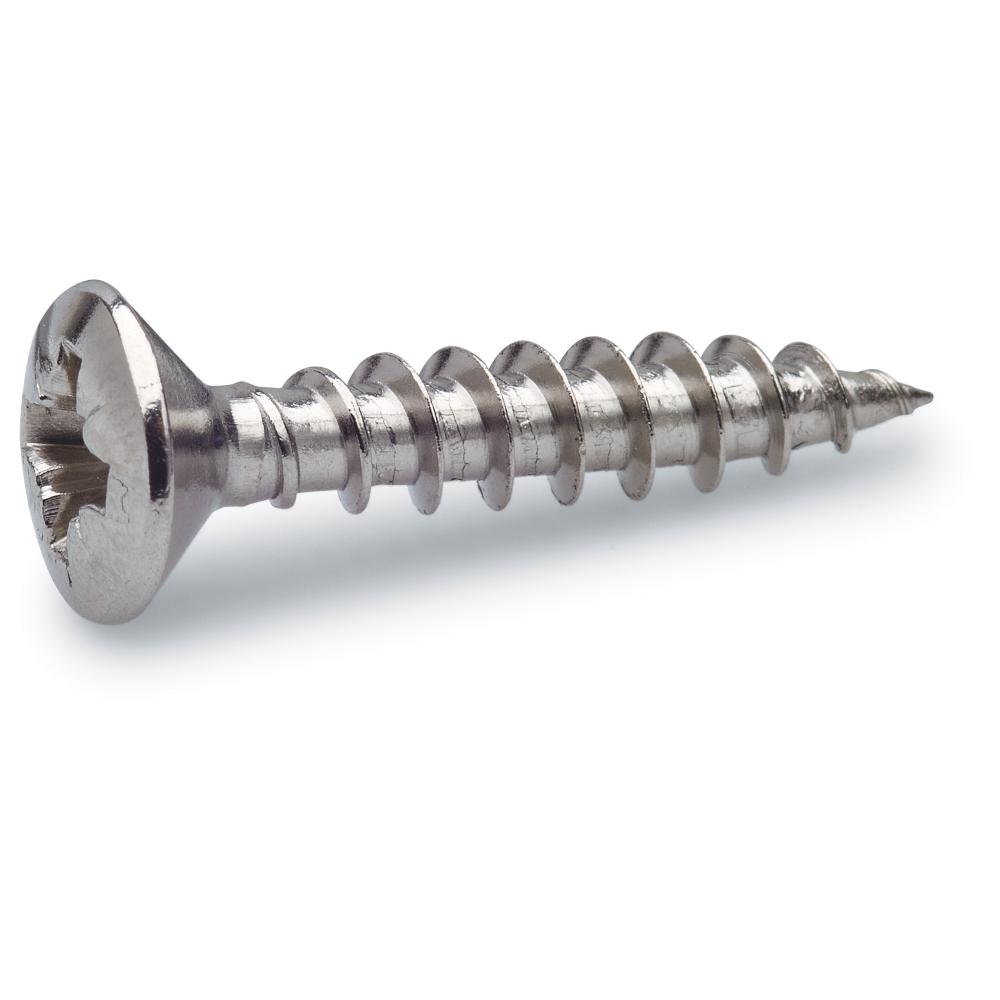 Skruv VVS Polerad A2, 5,5x40mm, 100st, Fast 281071