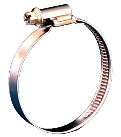 Gelia 3008033222 Slangklämma rostfri, 2-pack 58-75/12 mm