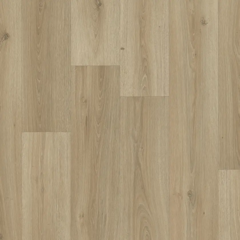 Powell Oak, Bronze 3m bred | Iconik T-Extra