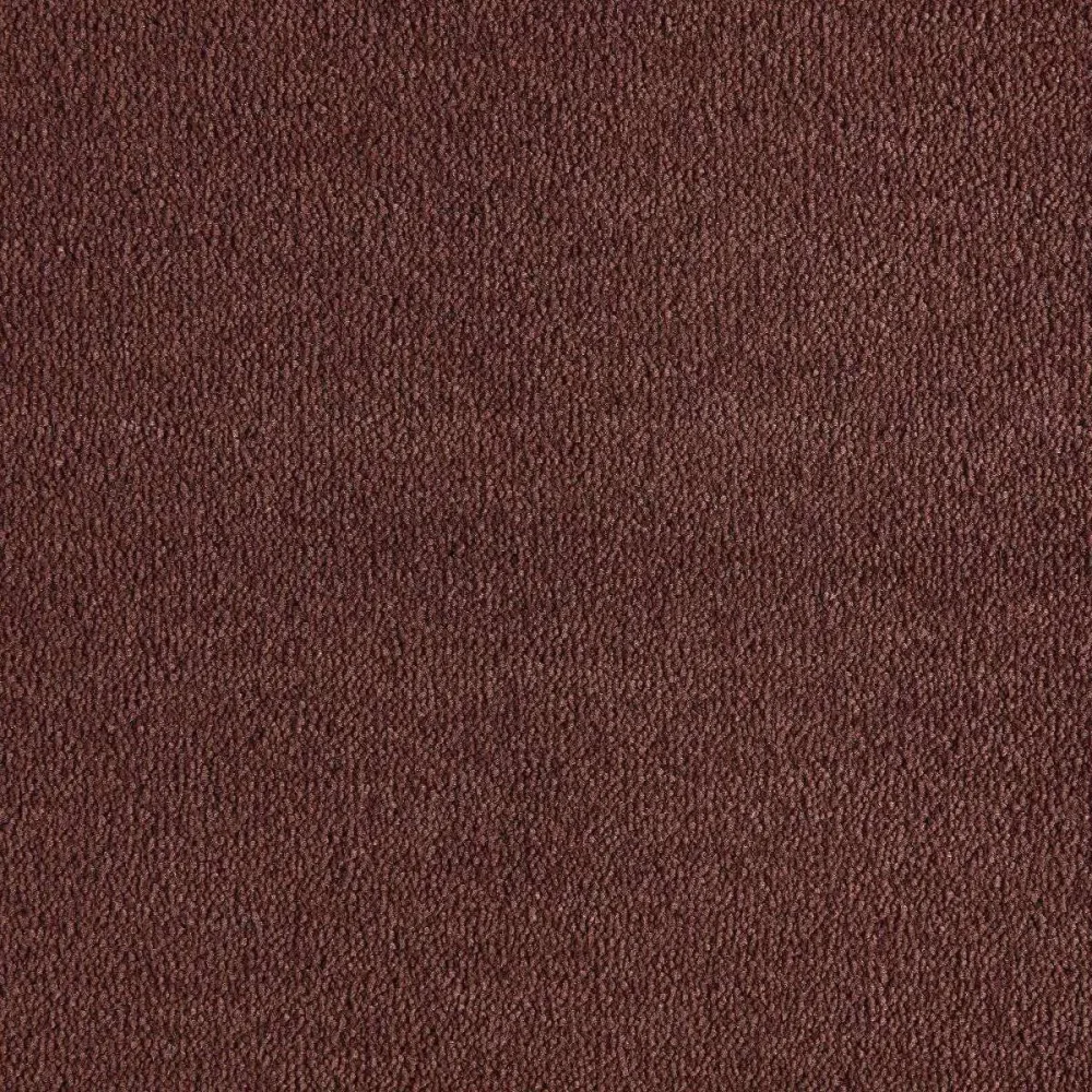 Heltäckningsmatta Dream Mahogany 2 302 400cm | Stuvbutiken